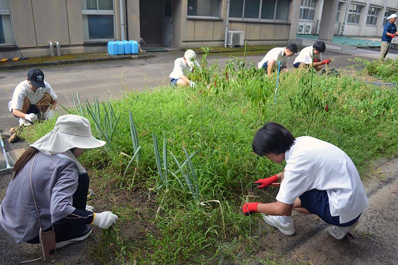 夏休み最終日に環境整備作業