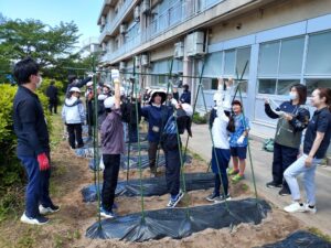 ５年生 野菜の苗植え