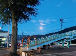 奈良・京都へ…〈６年修学旅行〉