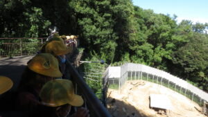 日本モンキーセンターに行ったよ🐒